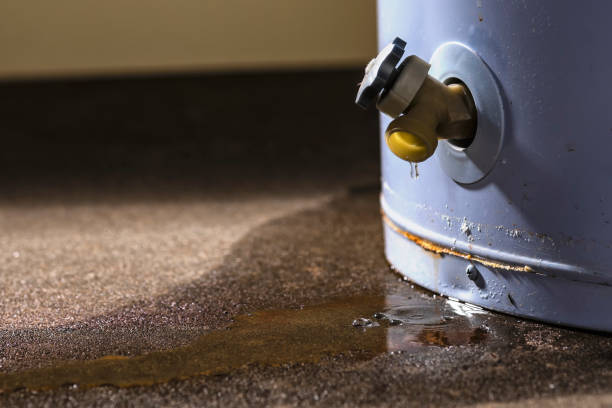 Best Sewage cleanup and water damage restoration  in Watertown, TN