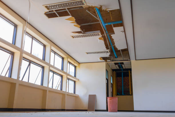 Best Water damage restoration process  in Watertown, TN