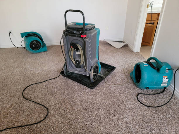 Best Water damage cleanup near me  in Watertown, TN
