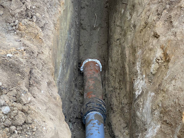Best Flood restoration services  in Watertown, TN