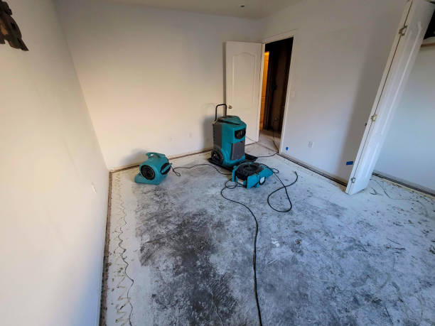 Best Water damage restoration cost  in Watertown, TN