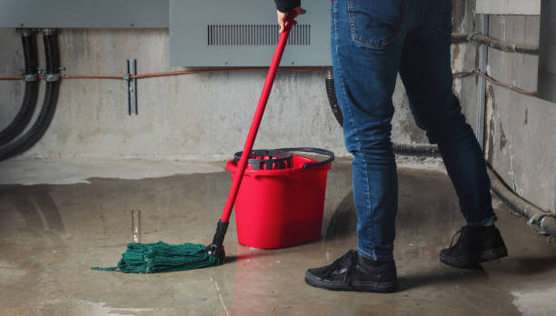 Best Professional water damage repair  in Watertown, TN