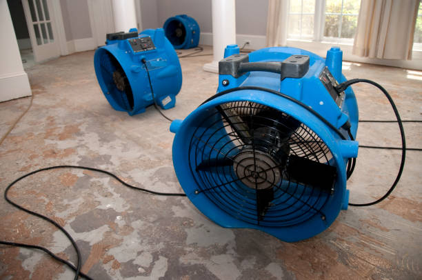 Best Water damage contractors near me  in Watertown, TN