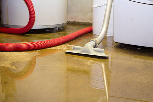Best Local water damage restoration  in Watertown, TN