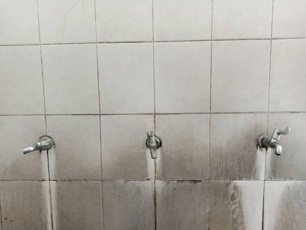 Best Basement water damage restoration  in Watertown, TN