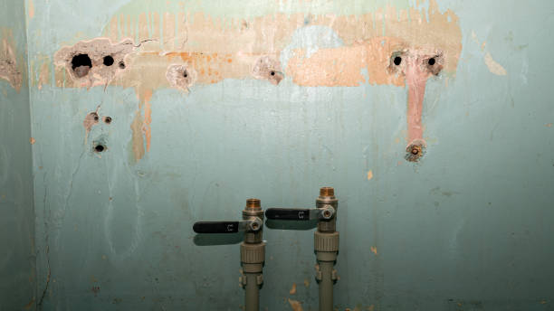 Best Flooded house restoration  in Watertown, TN