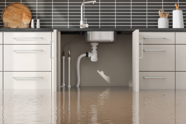 Best Fire Damage Restoration  in Watertown, TN